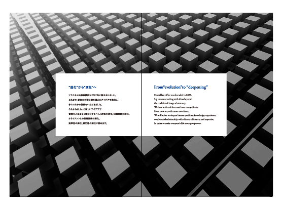 法律事務所・弁護士事務所、パンフレット・会社案内作成実績