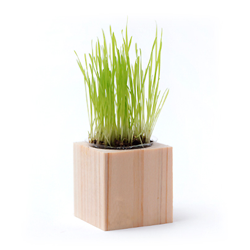 ノベルティグッズ